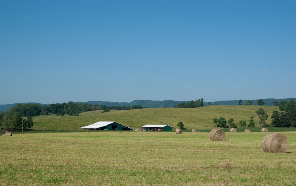 Hillsboro. Photo by Drew Tanner.