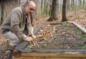 Jim Chamberlain demonstrates a raised bed of farmed ramps that he built. 