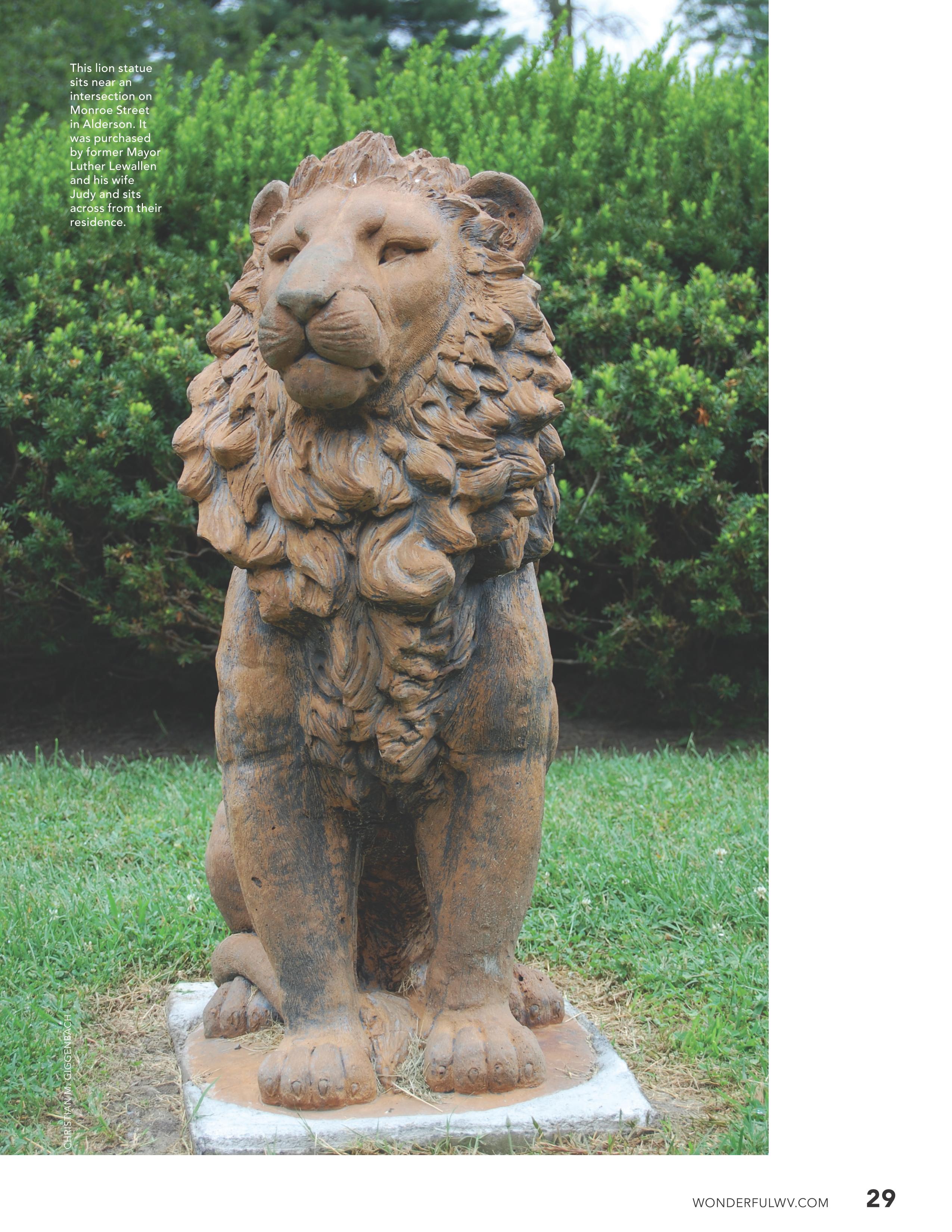 lions on the leash 14