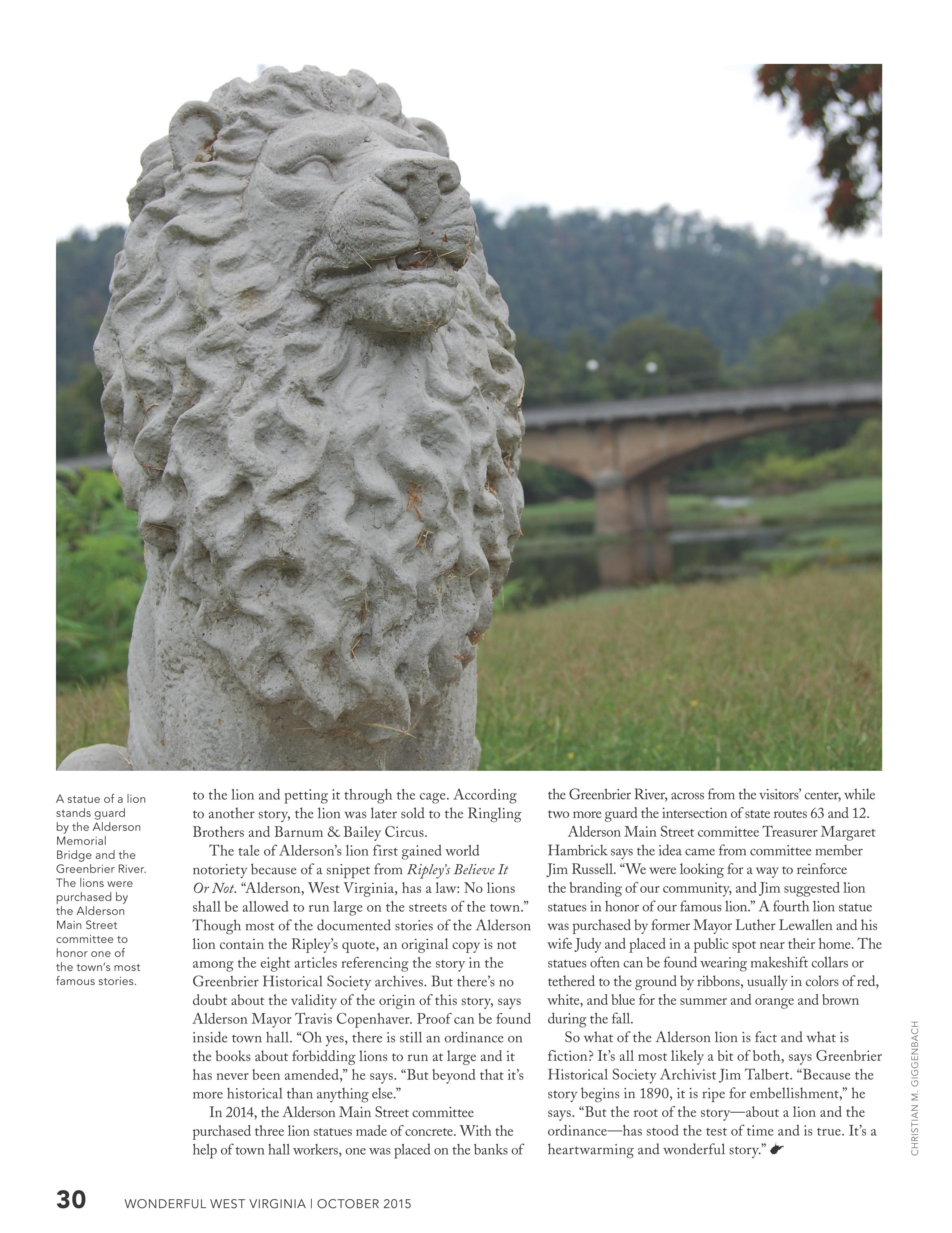 lions on the leash 15