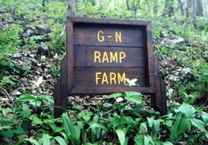 Glen and Norene Facemire own the ramp farm in Richwood.