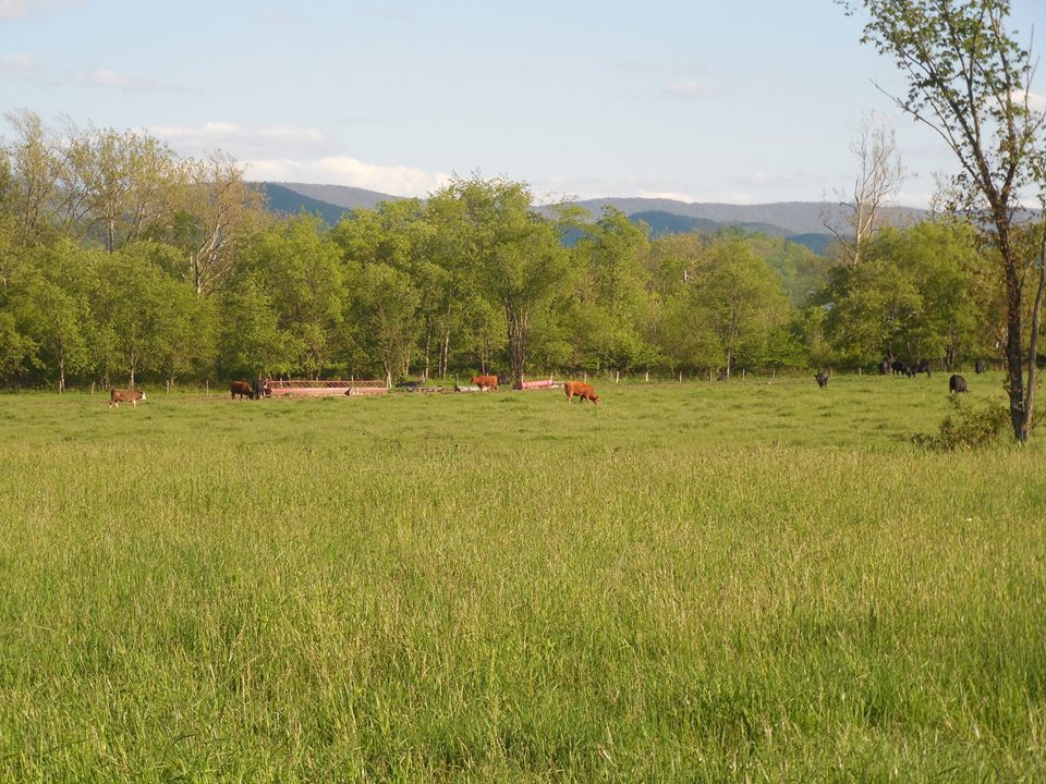 The view from Sam Cunningham's farm on Rich Mountain