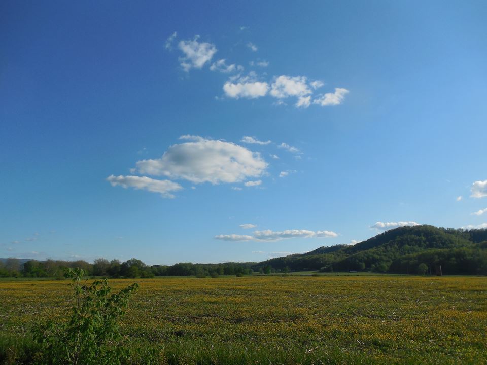 Beverly, West Virginia. This field is down the street from Sam Cunningham's farm on Rich Mountain.